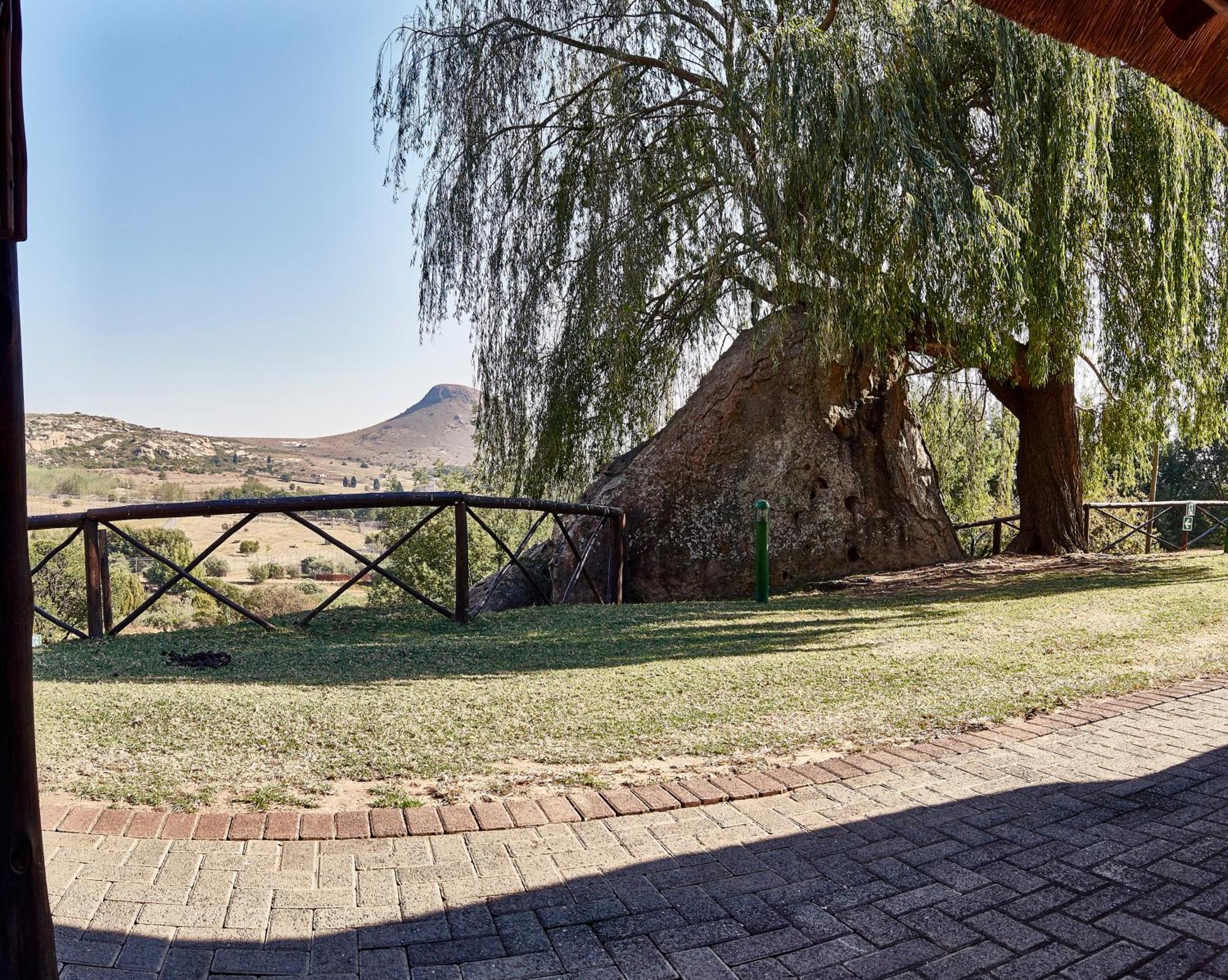 베들레헴 Lionsrock Big Cat Sanctuary 빌라 외부 사진