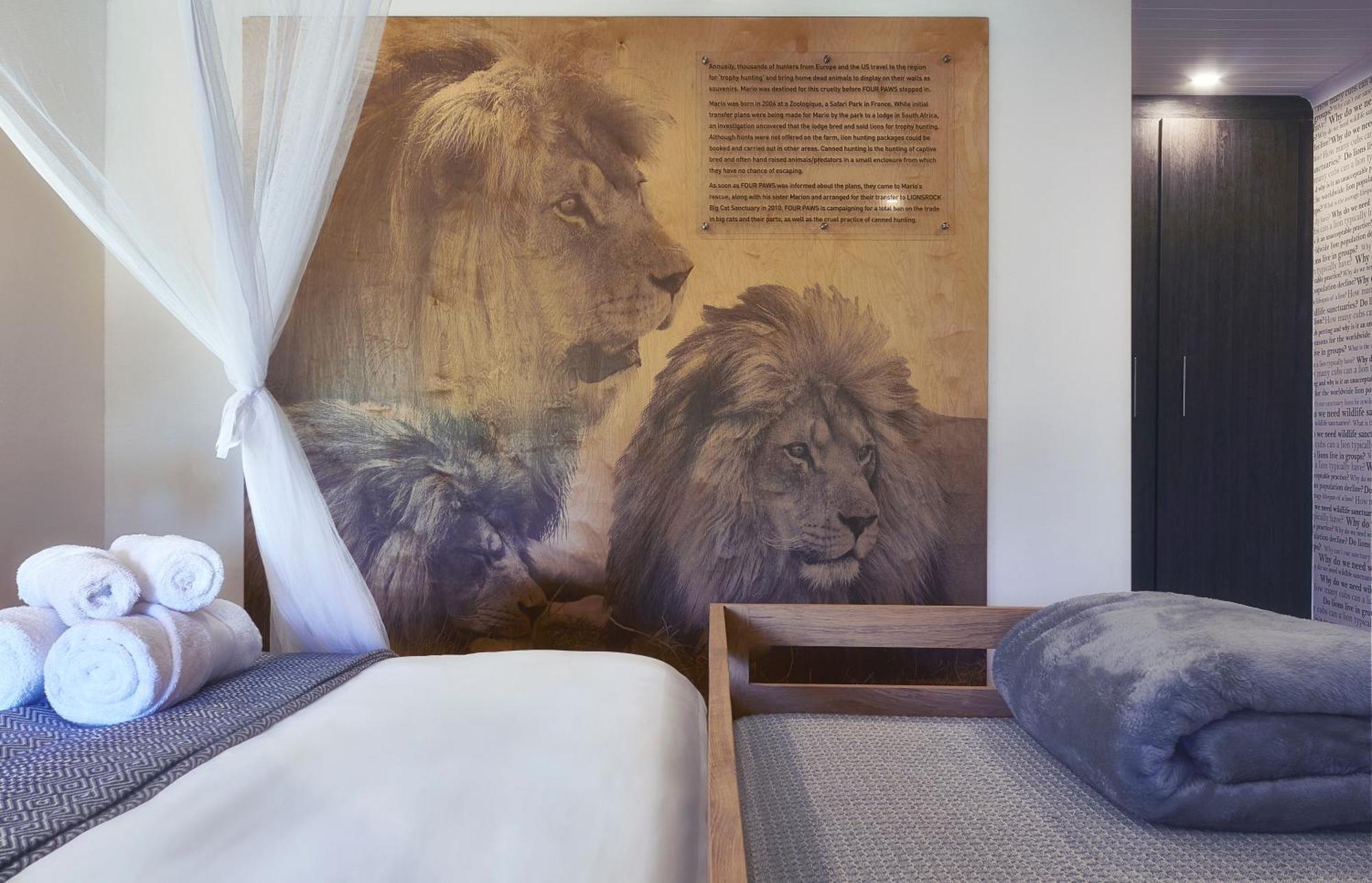 베들레헴 Lionsrock Big Cat Sanctuary 빌라 외부 사진